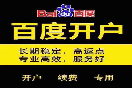 竞价排名与自然排名的对比案例